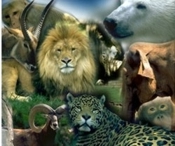 Visit Guadalajara Zoo Tour Jalisco Mexico zoologico donde que hacer