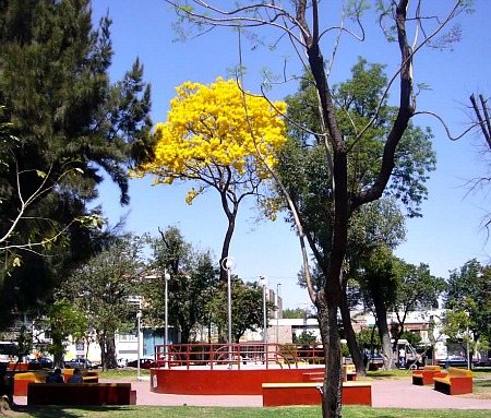 Revolution Park in Guadalajara 