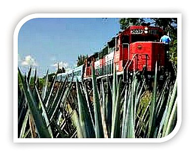 Tren del Tequila Express 