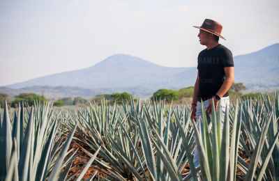 Experiencia por la ruta tequila 