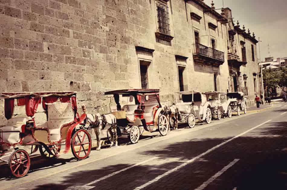 Night Tour in Calandria