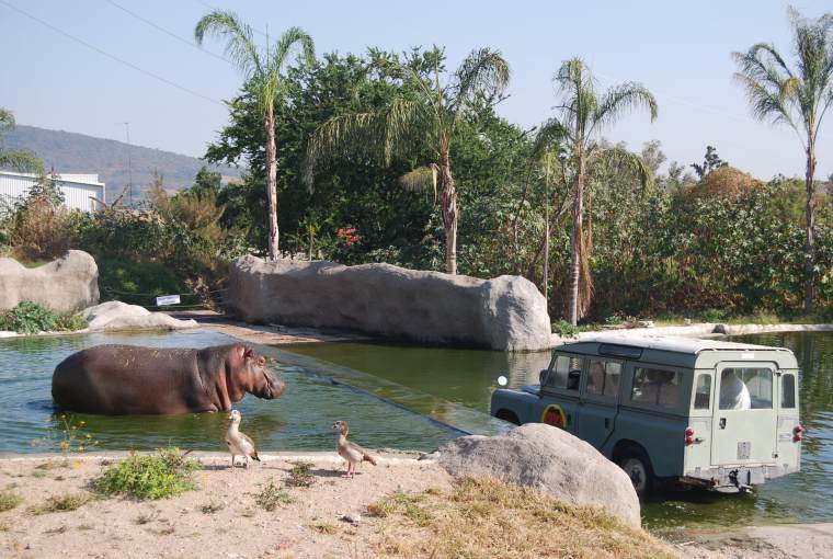 safari zoo de guadalajara