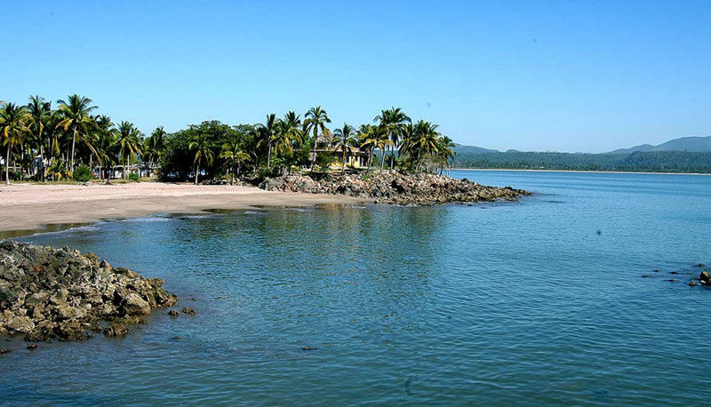 manglares en la tovara tour san blas nayarit