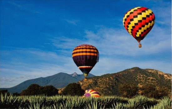 tequila sobre el paisaje agavero en globo aerostatico por todo el valle
