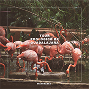 imagen zoologico Guadalajara Mexico