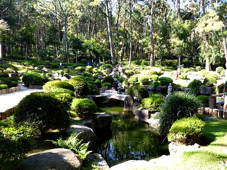 colomos park  parque colomos in Guadalajara mexico